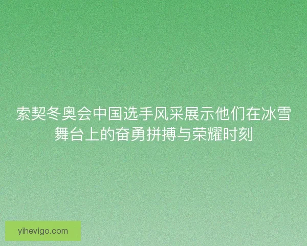 索契冬奥会中国选手风采展示他们在冰雪舞台上的奋勇拼搏与荣耀时刻