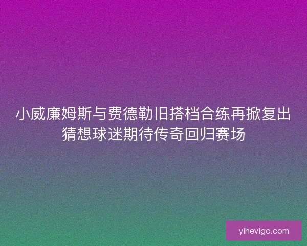小威廉姆斯与费德勒旧搭档合练再掀复出猜想球迷期待传奇回归赛场 小威廉姆斯与费德勒旧搭档合练再掀复出猜想球迷期待传奇回归赛场